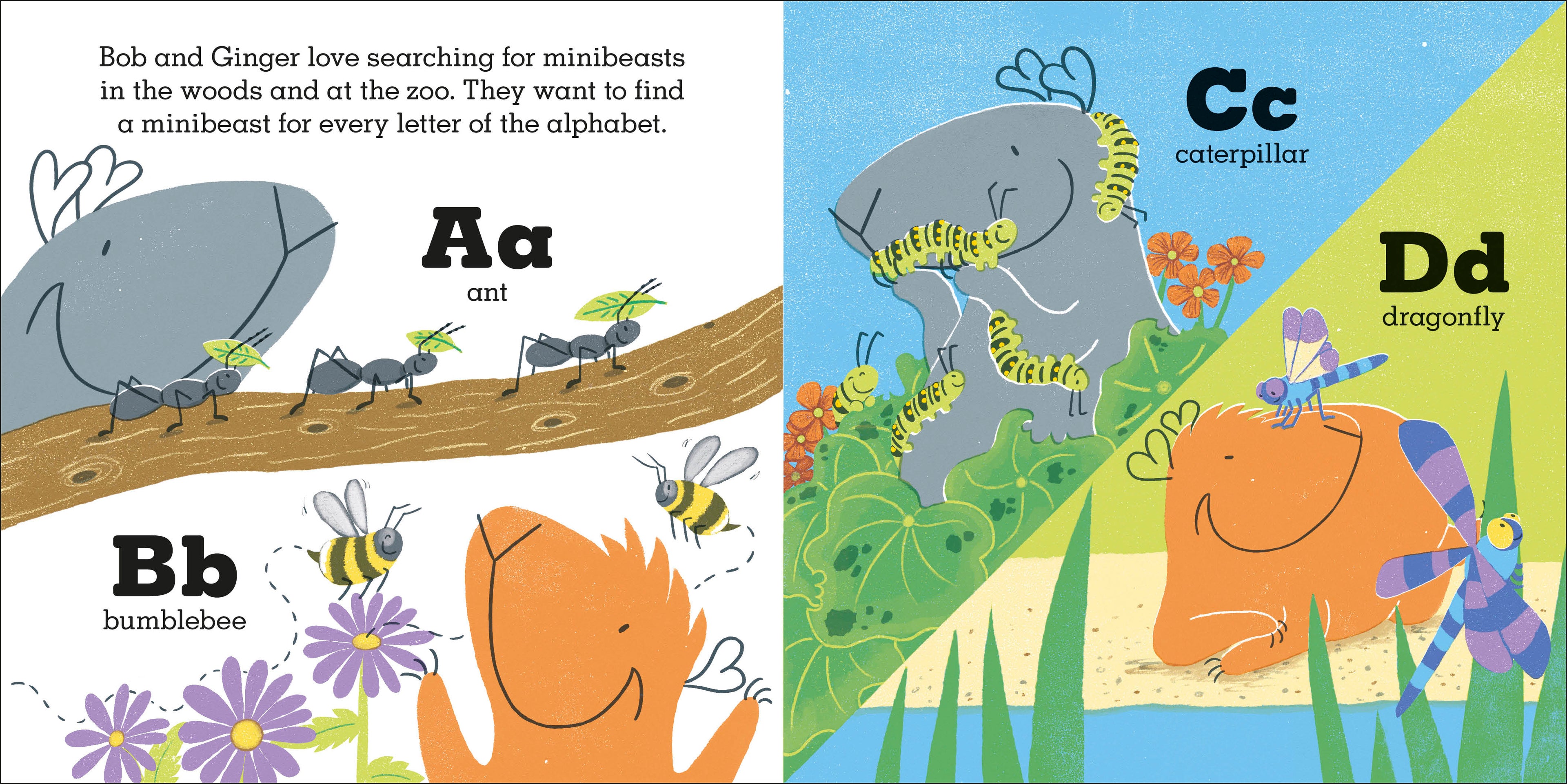 Guinea Pigs Go Bug Hunting