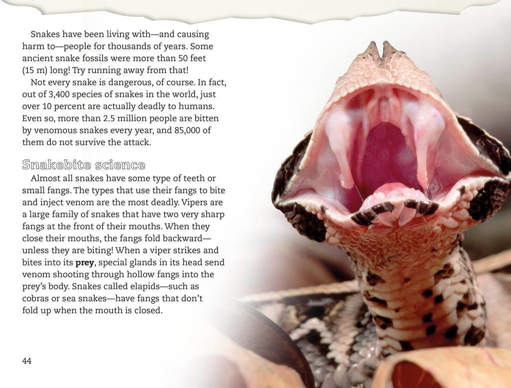 DK Readers L4: Spiders and Other Deadly Animals