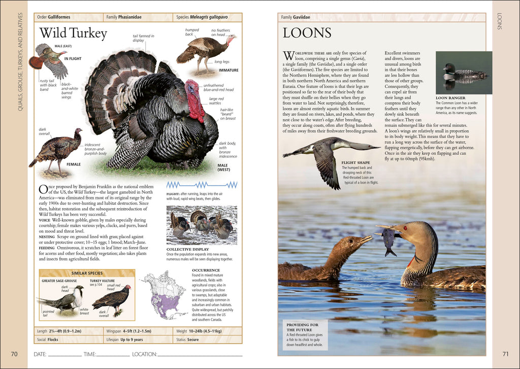 Birds of Eastern Canada 2nd Edition