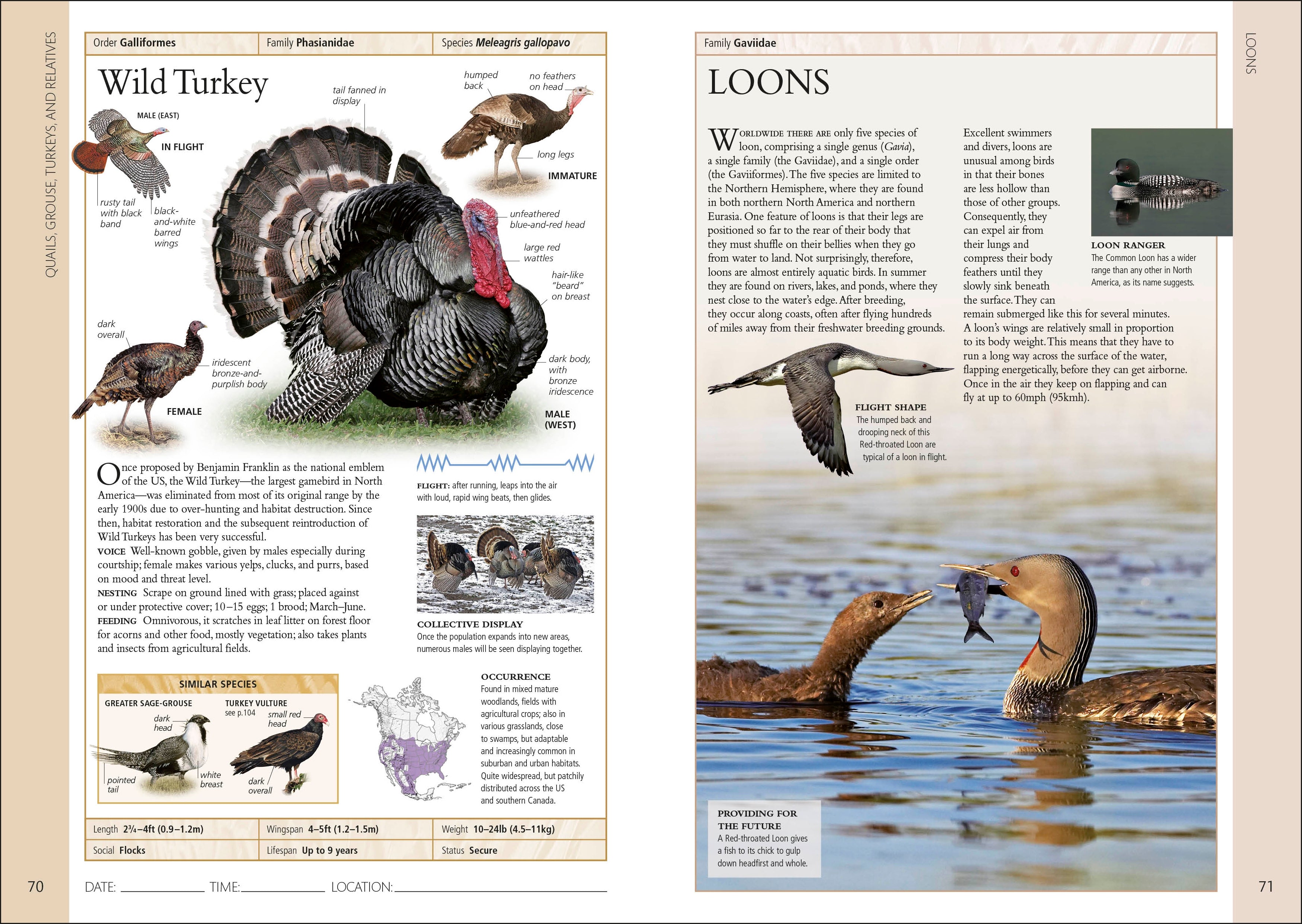 Birds of Eastern Canada 2nd Edition