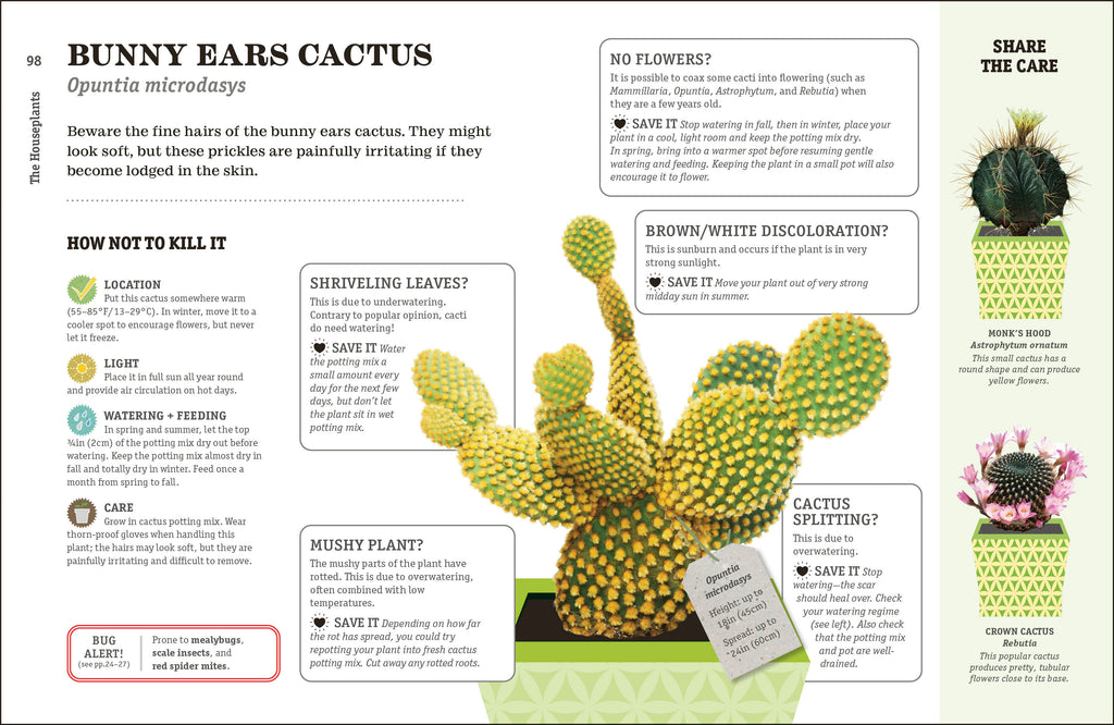 How Not to Kill Your Houseplant-image