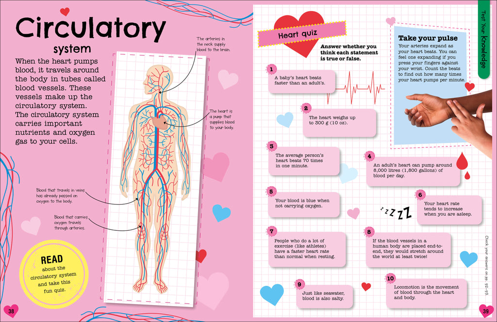 The Fact-Packed Activity Book: Human Body-Spread, Image, (PRHC, Design, Do, Not, Use)-4