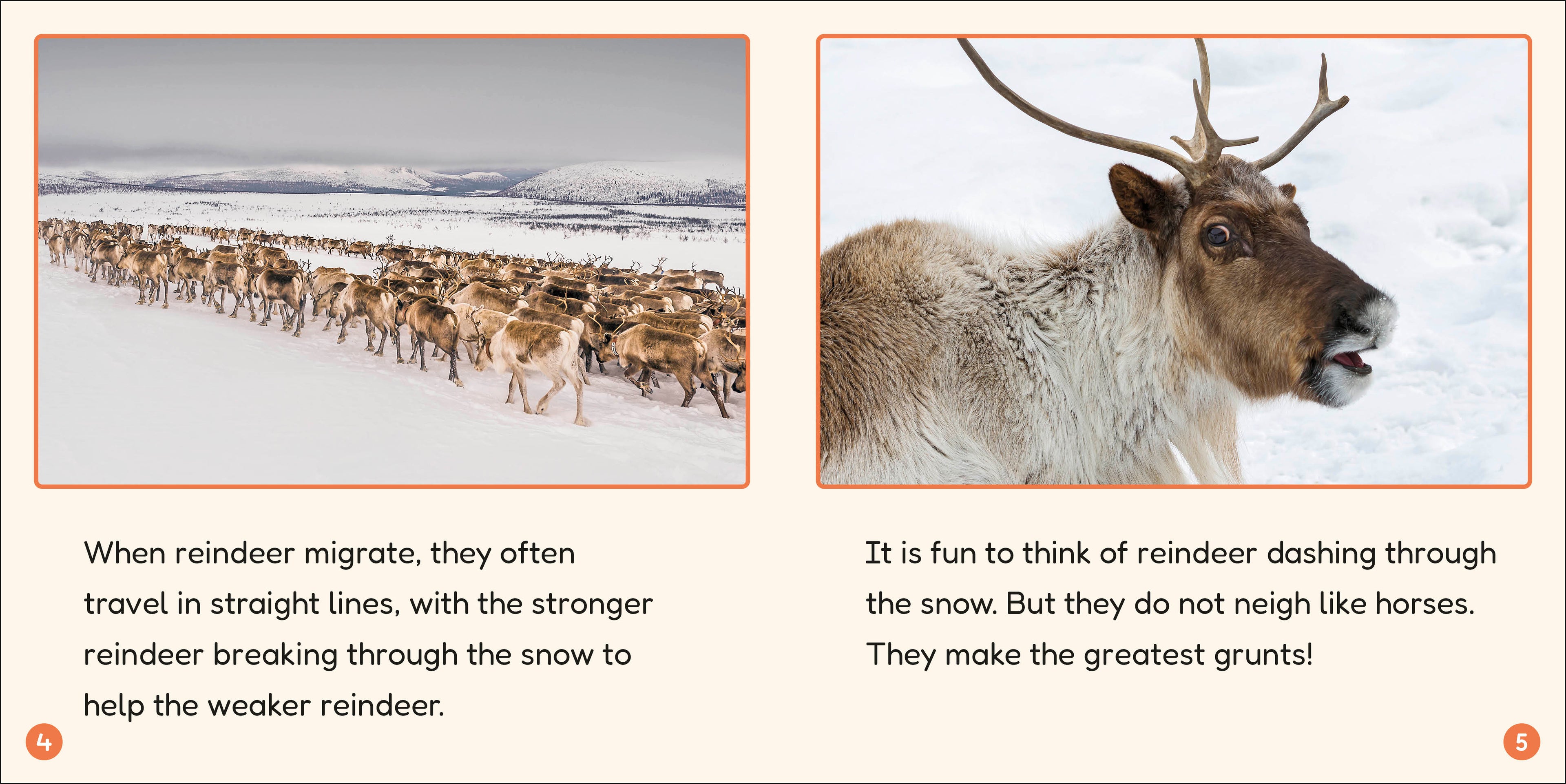 Phonic Books Lift Off Readers Low Frequency Spellings