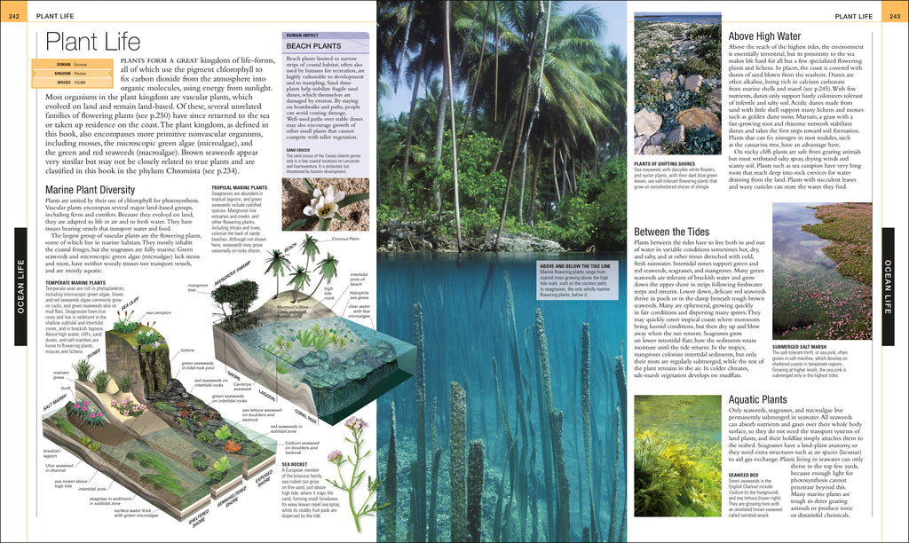 Ocean-Spread, Image, (PRHC, Design, Do, Not, Use)-4