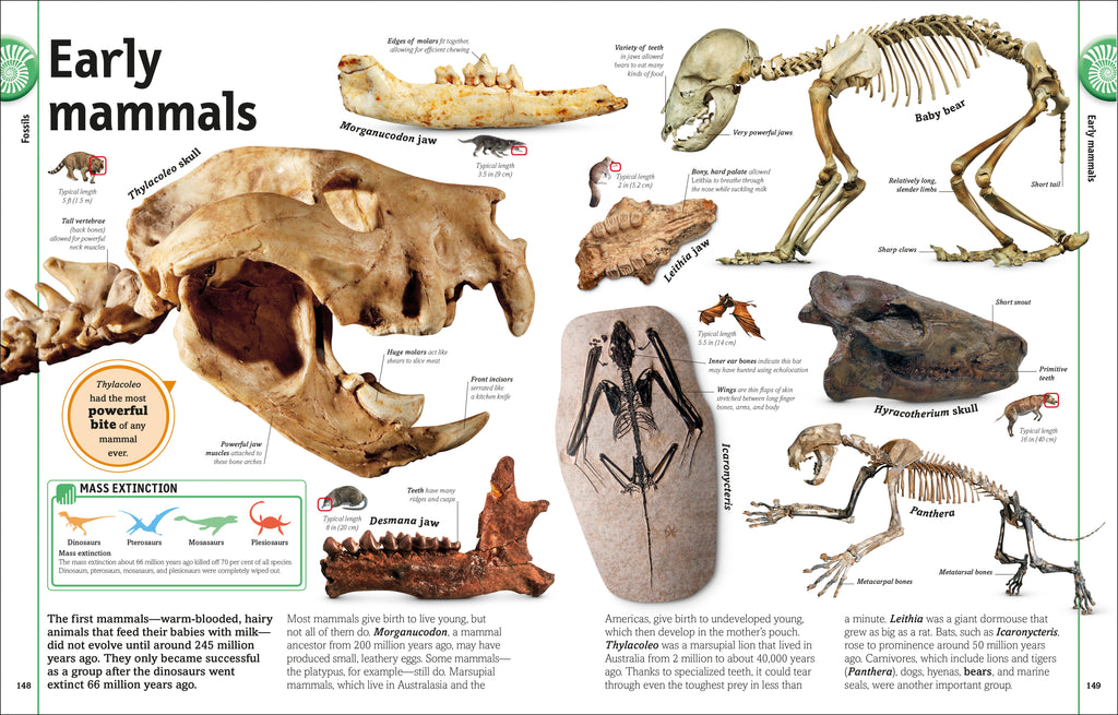 The Rock and Gem Book