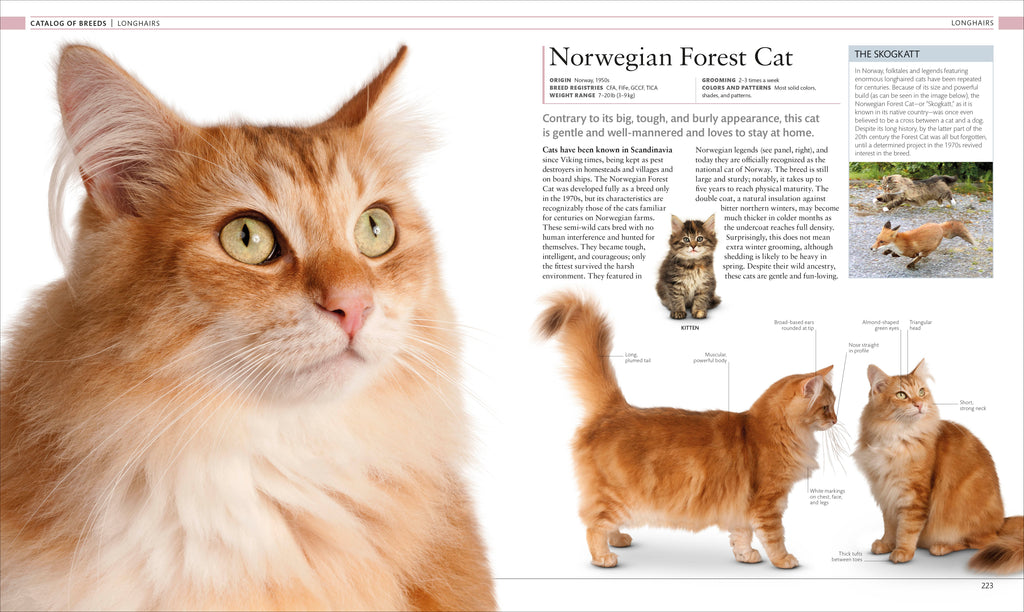 The Cat Encyclopedia-Spread, Image, (PRHC, Design, Do, Not, Use)-9