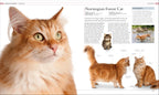 The Cat Encyclopedia-Spread, Image, (PRHC, Design, Do, Not, Use)-9