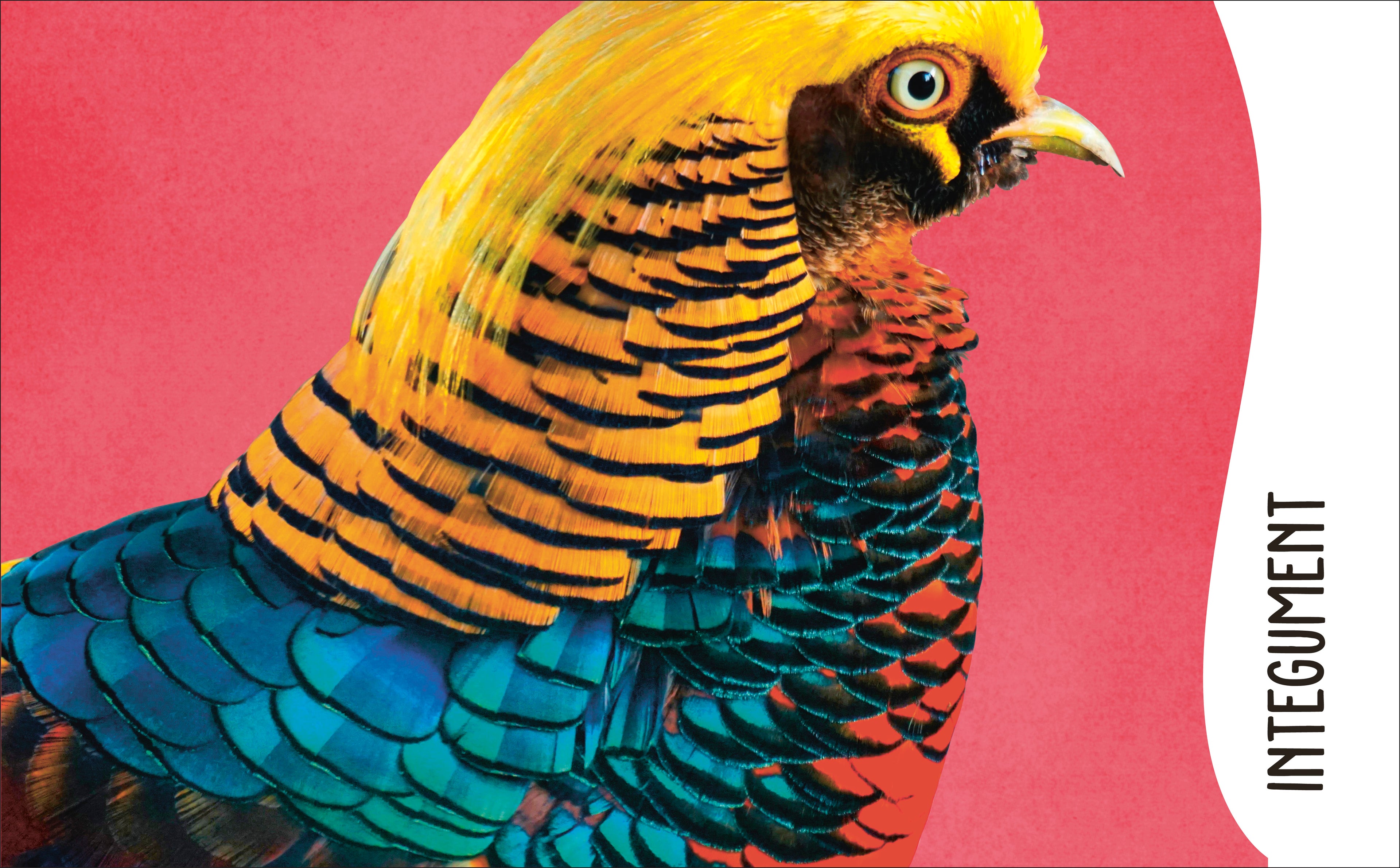 The Animal Body Book-Spread, Image, (PRHC, Design, Do, Not, Use)-22