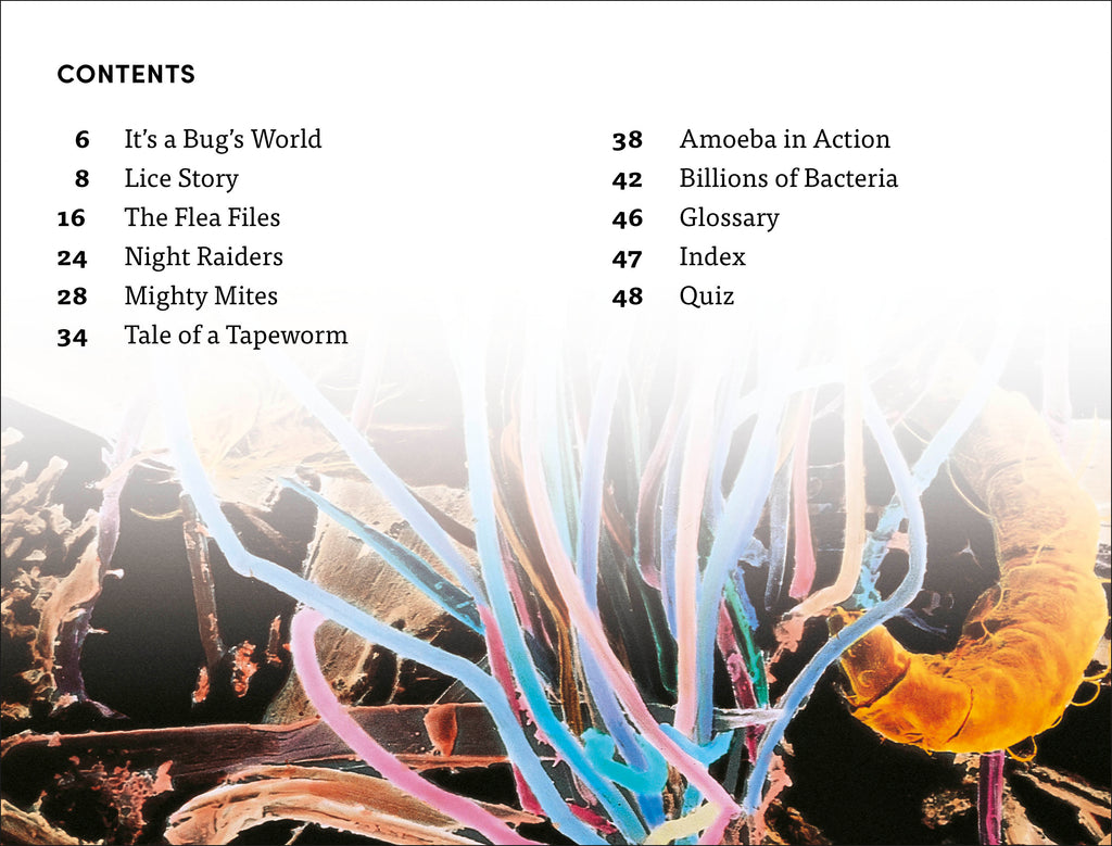 DK Super Readers Level 4 Micro Monsters