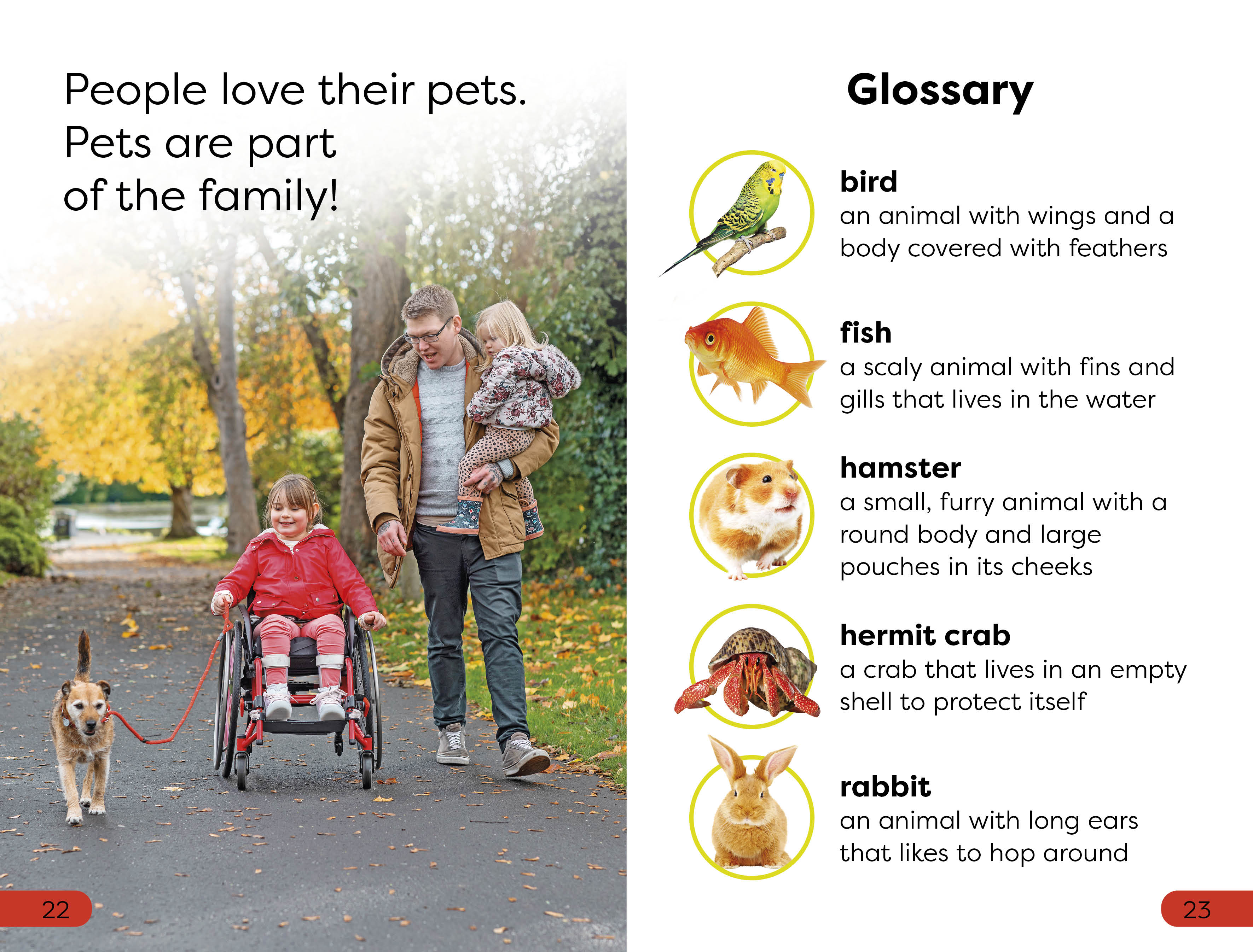 DK Super Readers Pre-Level Pets