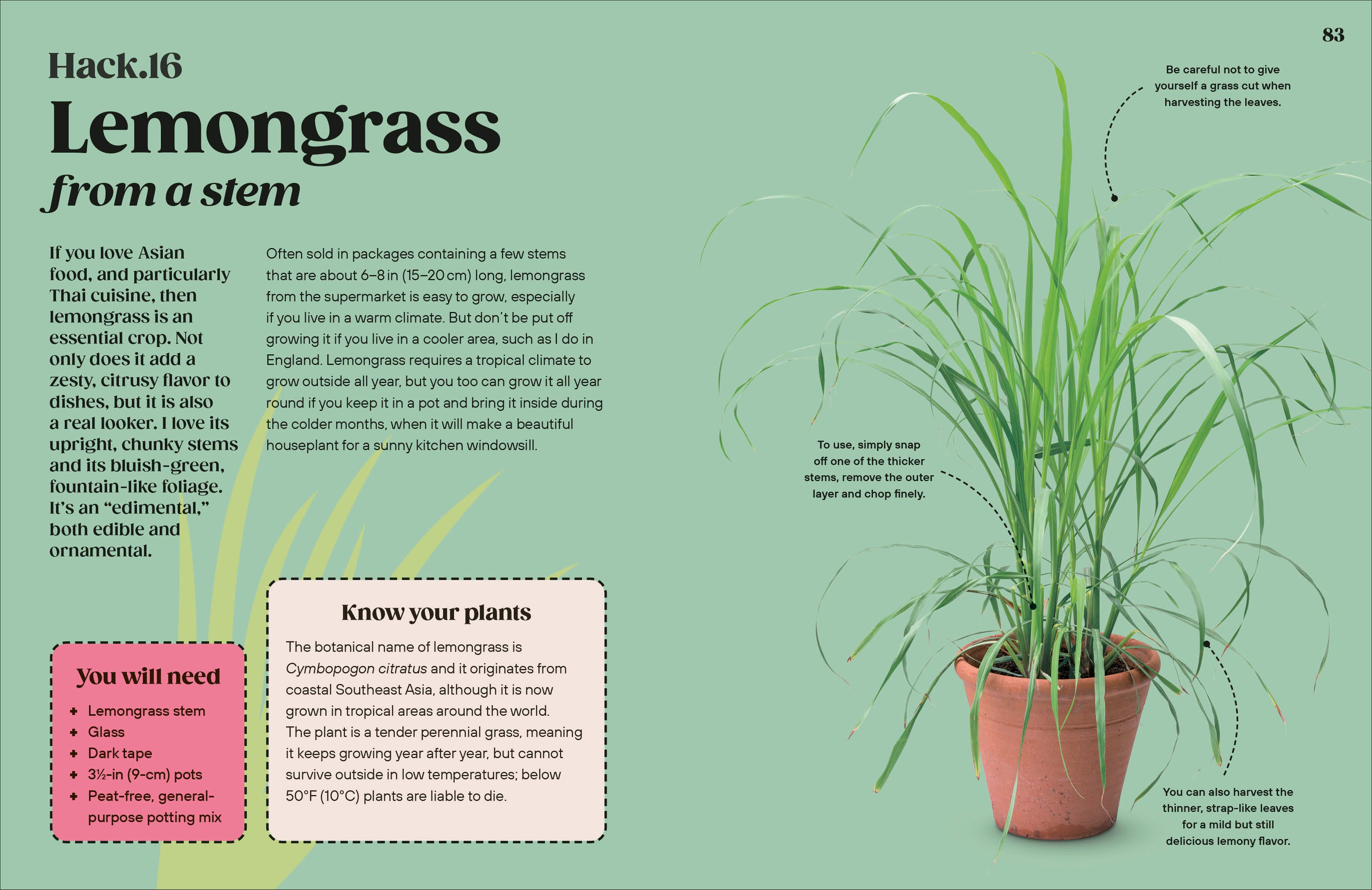 Grow Your Groceries-Spread, Image, (PRHC, Design, Do, Not, Use)-4
