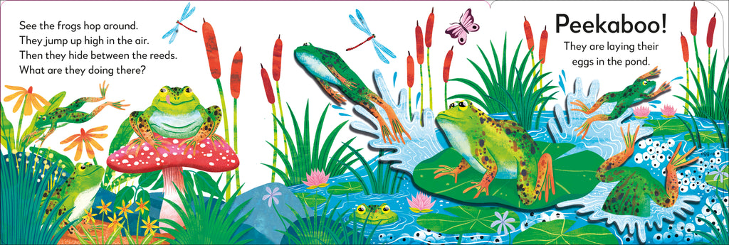 Pop-Up Peekaboo! Frog-Spread, Image, (PRHC, Design, Do, Not, Use)-2