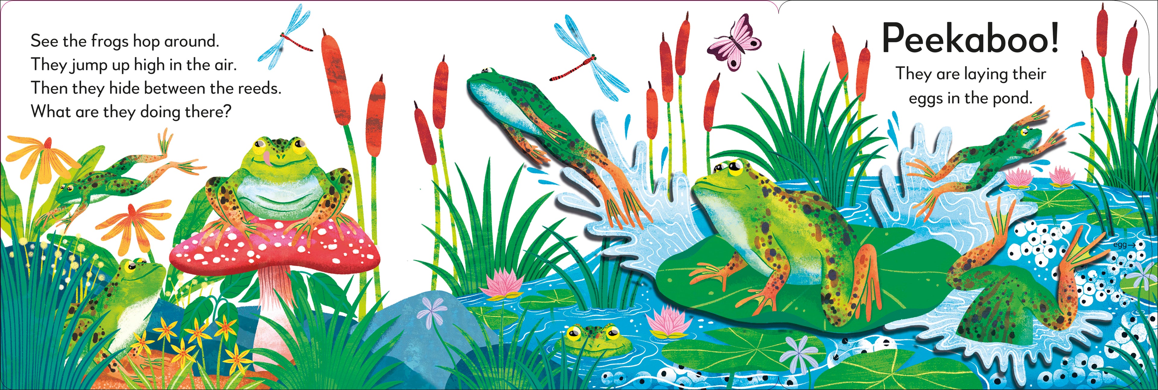 Pop-Up Peekaboo! Frog-Spread, Image, (PRHC, Design, Do, Not, Use)-2