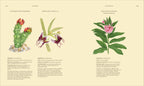 Wildflowers-Spread, Image, (PRHC, Design, Do, Not, Use)-6