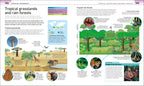 Help Your Kids with Geography, Ages 10-16 (Key Stages 3-4)