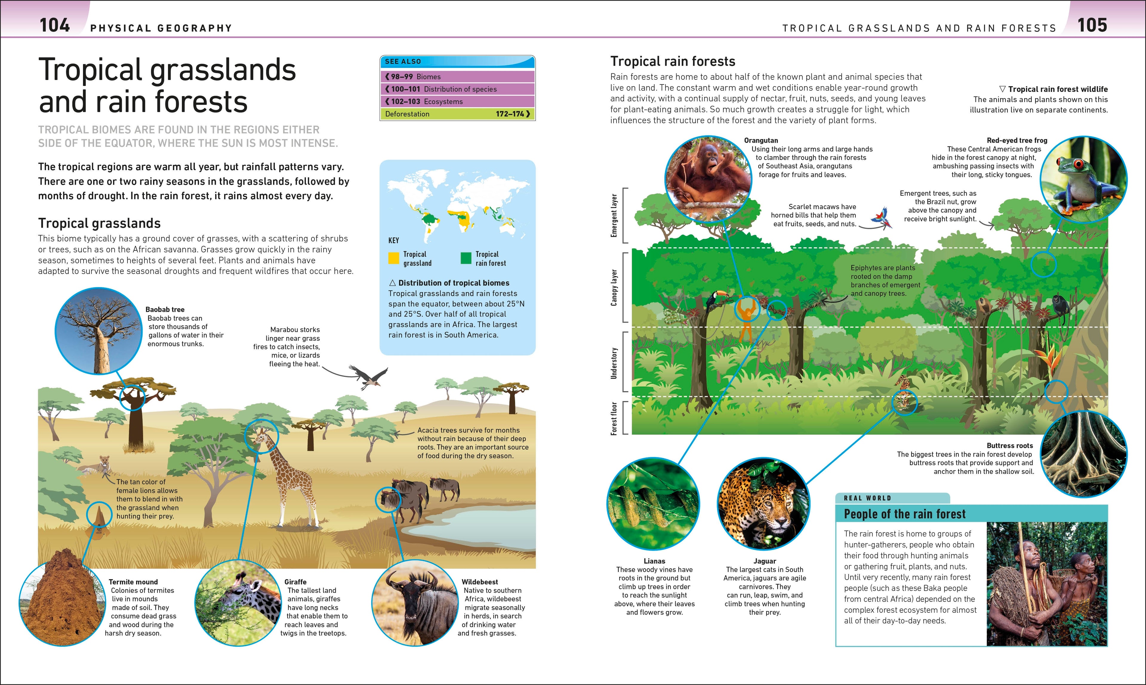 Help Your Kids with Geography, Ages 10-16 (Key Stages 3-4)
