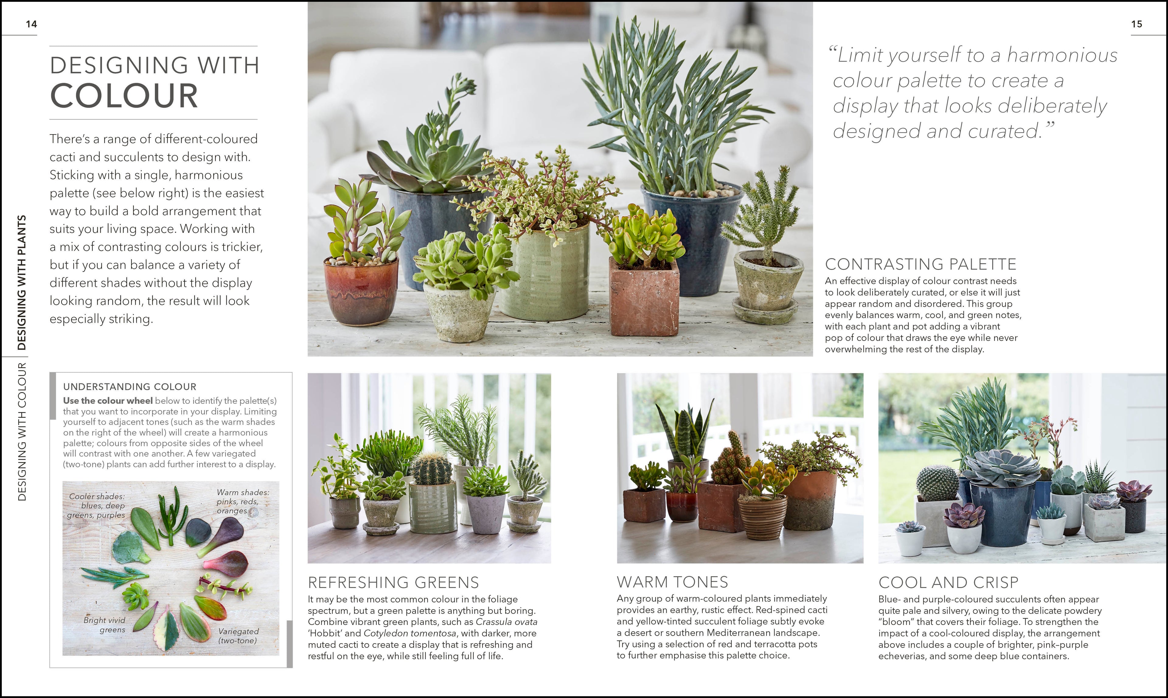 designing with succulents book RHS Practical Cactus and Succulent Book – DK