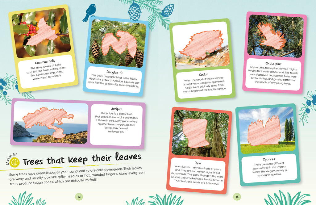 Ultimate Sticker Book Trees and Leaves-Spread, Image, (PRHC, Design, Do, Not, Use)-4