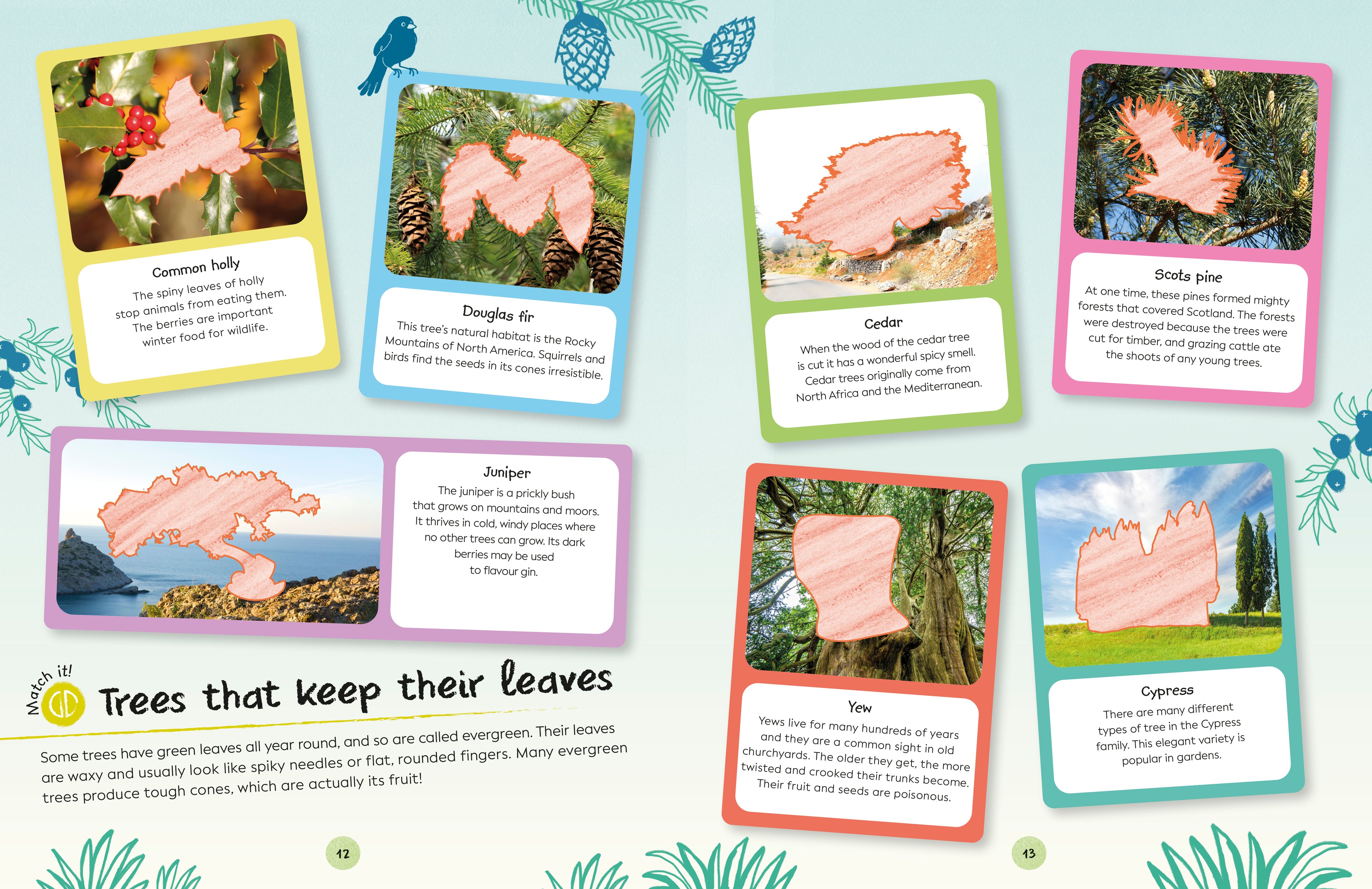 Ultimate Sticker Book Trees and Leaves-Spread, Image, (PRHC, Design, Do, Not, Use)-4