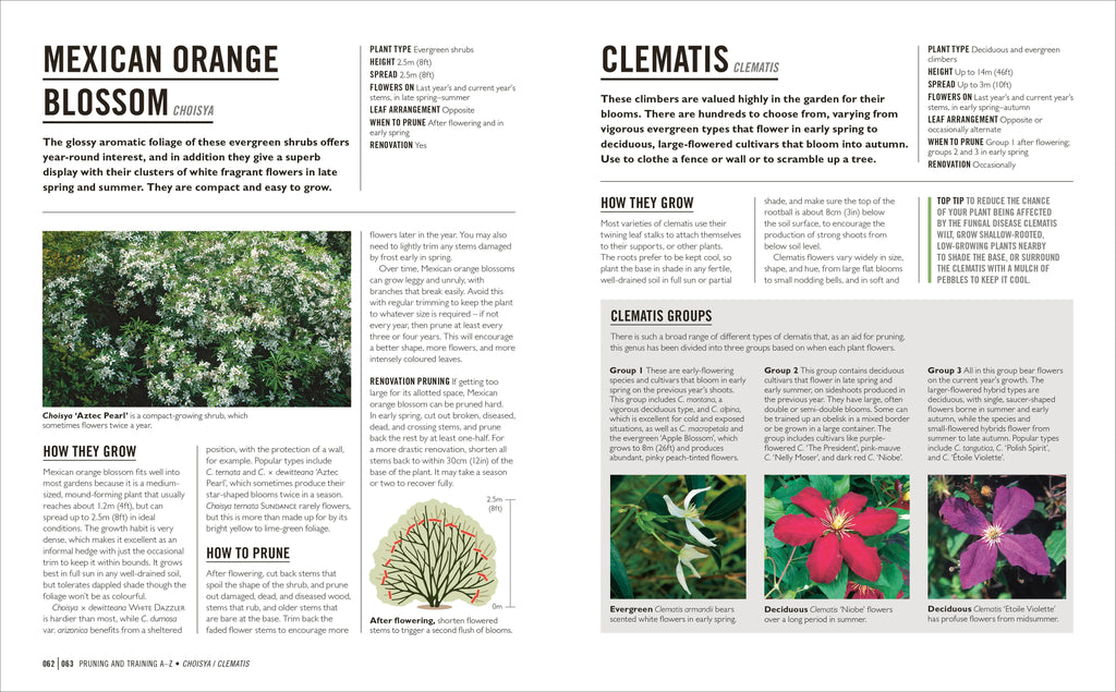 Grow Pruning & Training