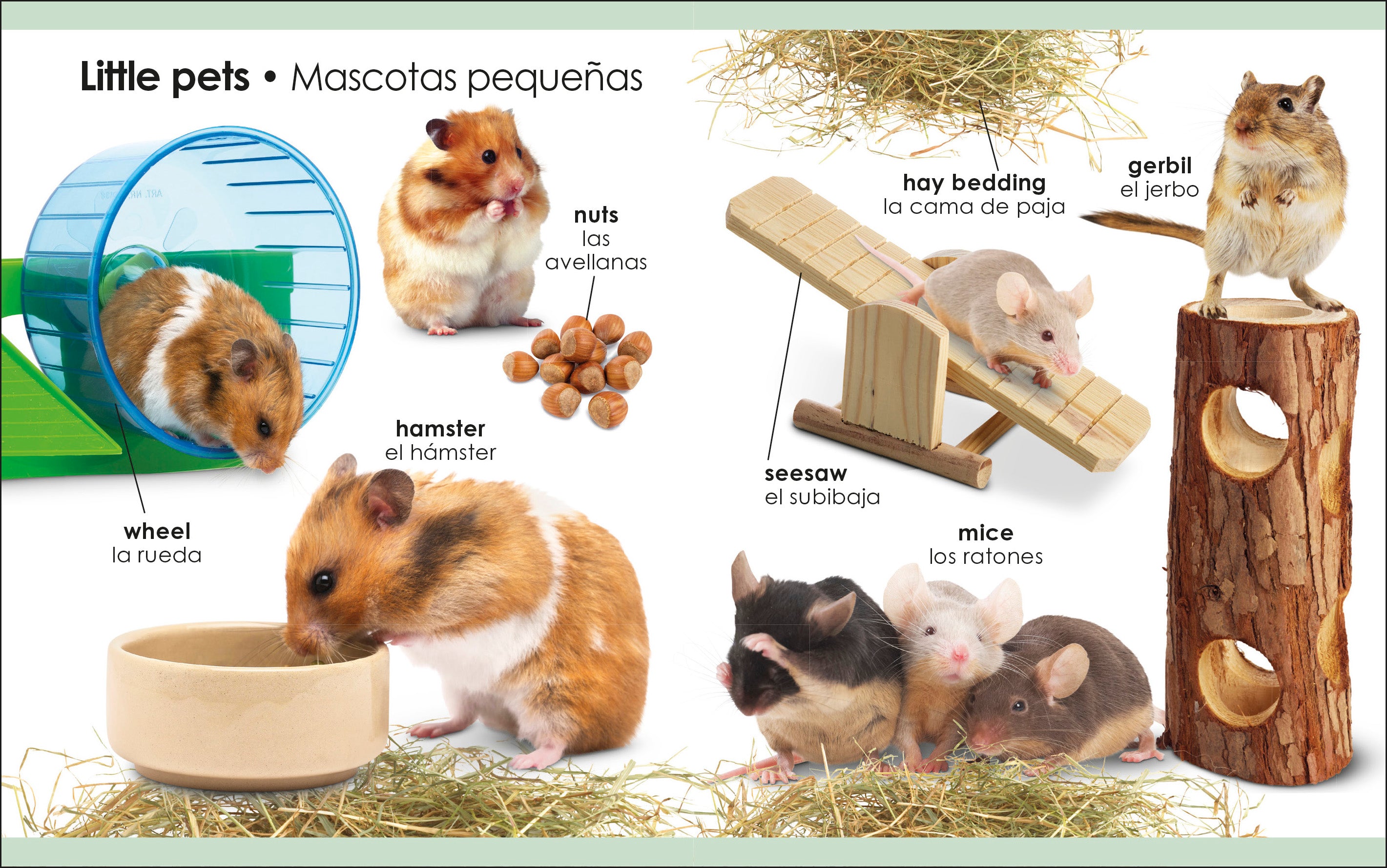 My First Bilingual Pets / los mascotas-Spread, Image, (PRHC, Design, Do, Not, Use)-4