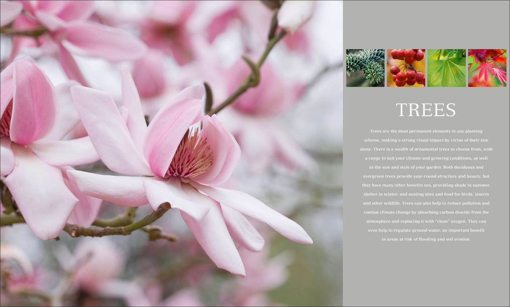 RHS Encyclopedia Of Plants and Flowers