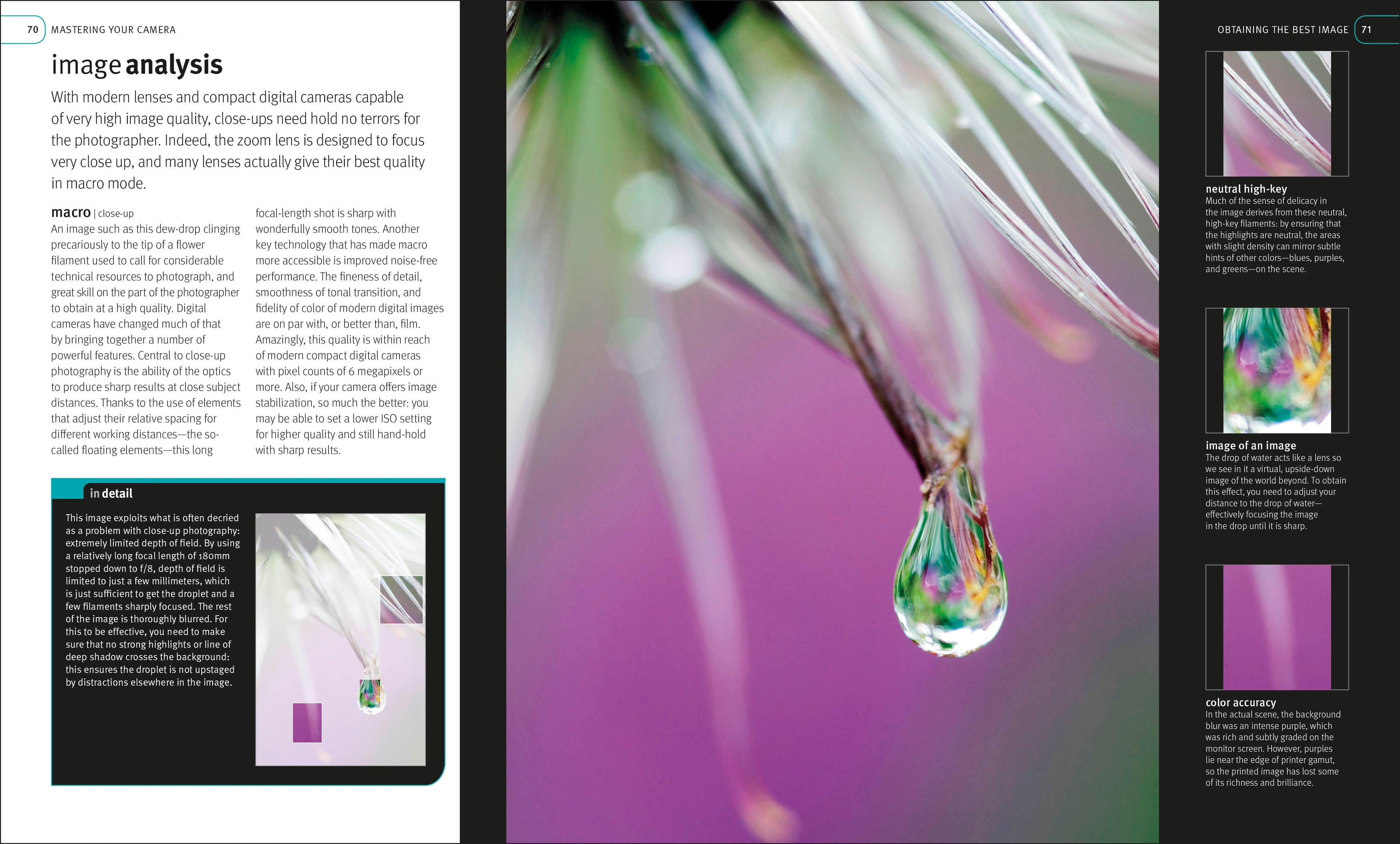 Digital Photography Masterclass