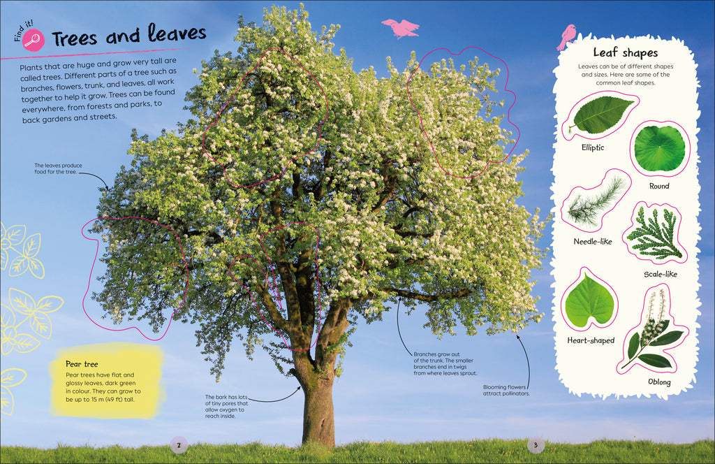 RHS Ultimate Sticker Book Trees and Leaves-Spread, Image, (PRHC, Design, Do, Not, Use)-1