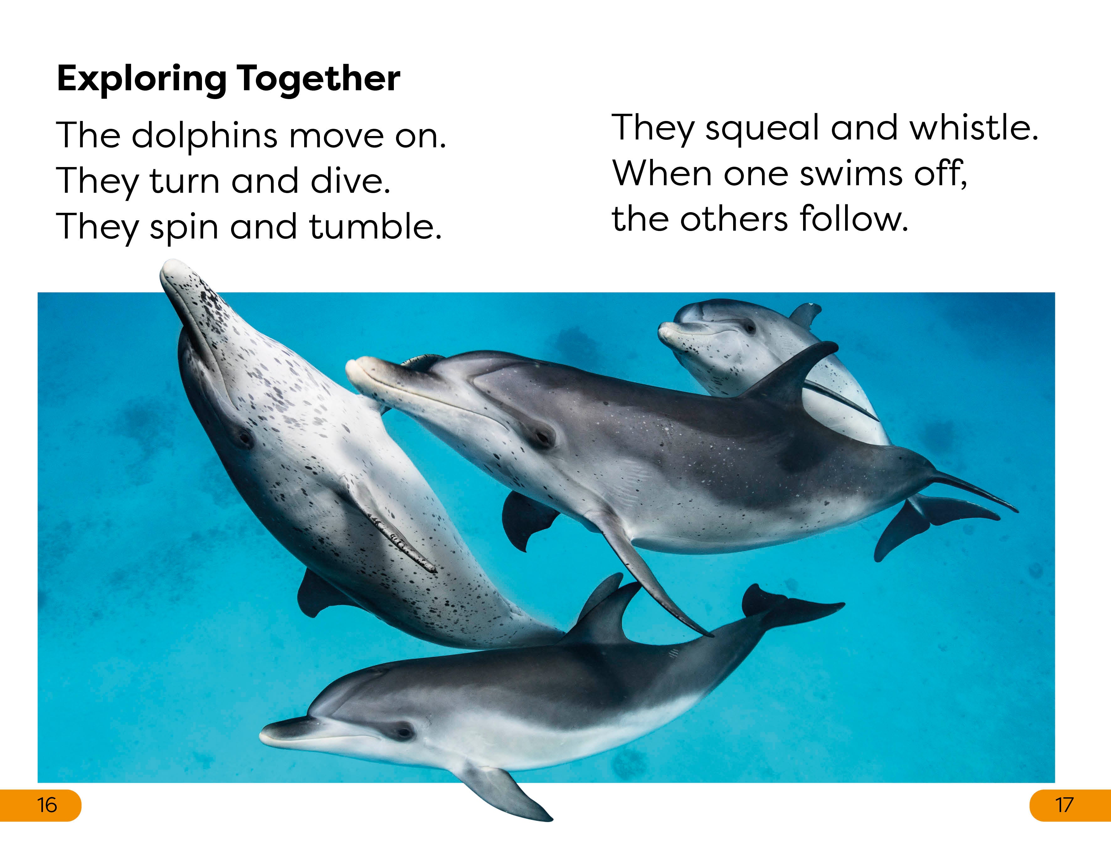 DK Super Readers Level 1 Diving Dolphin