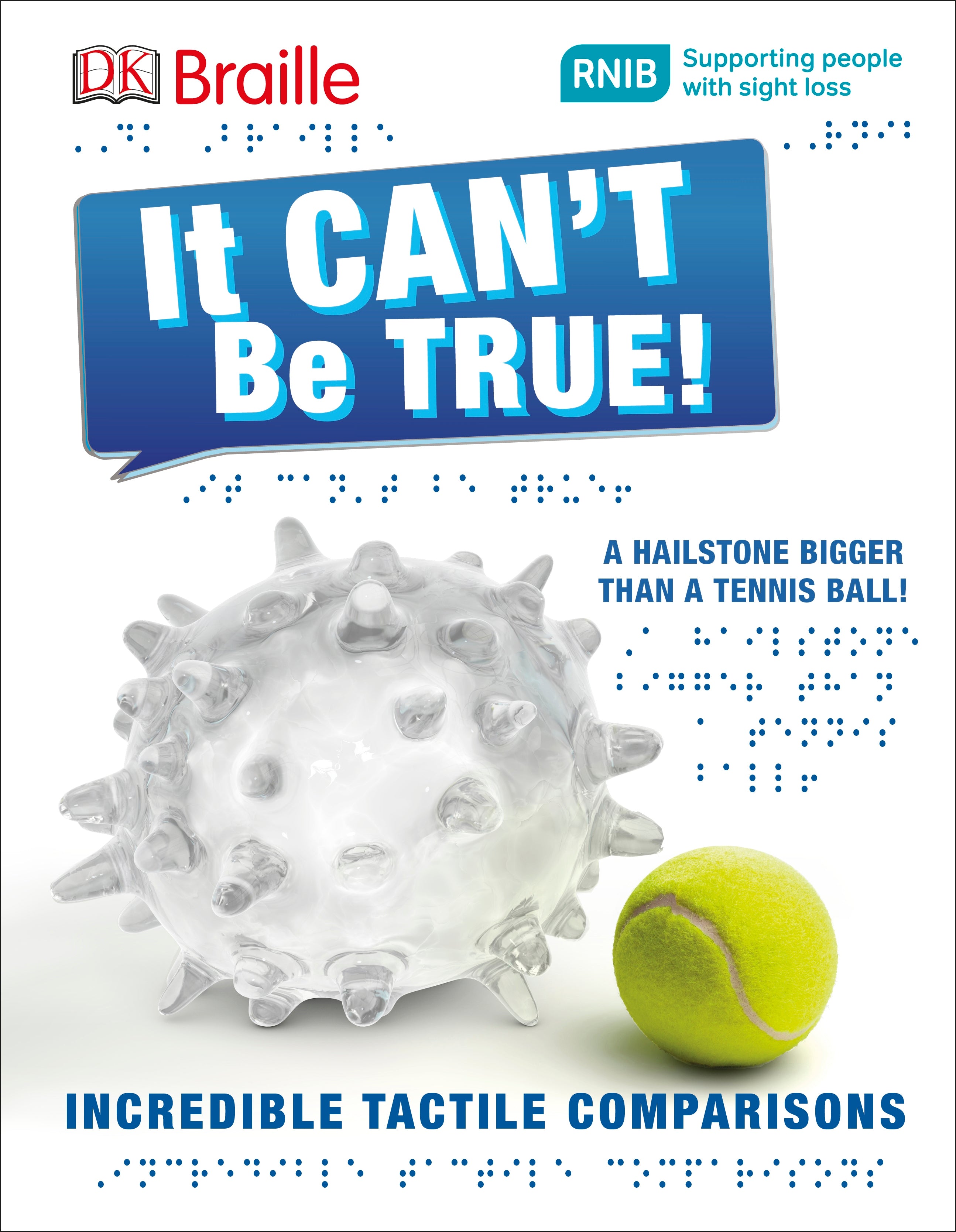 DK Braille It Can't Be True! cover