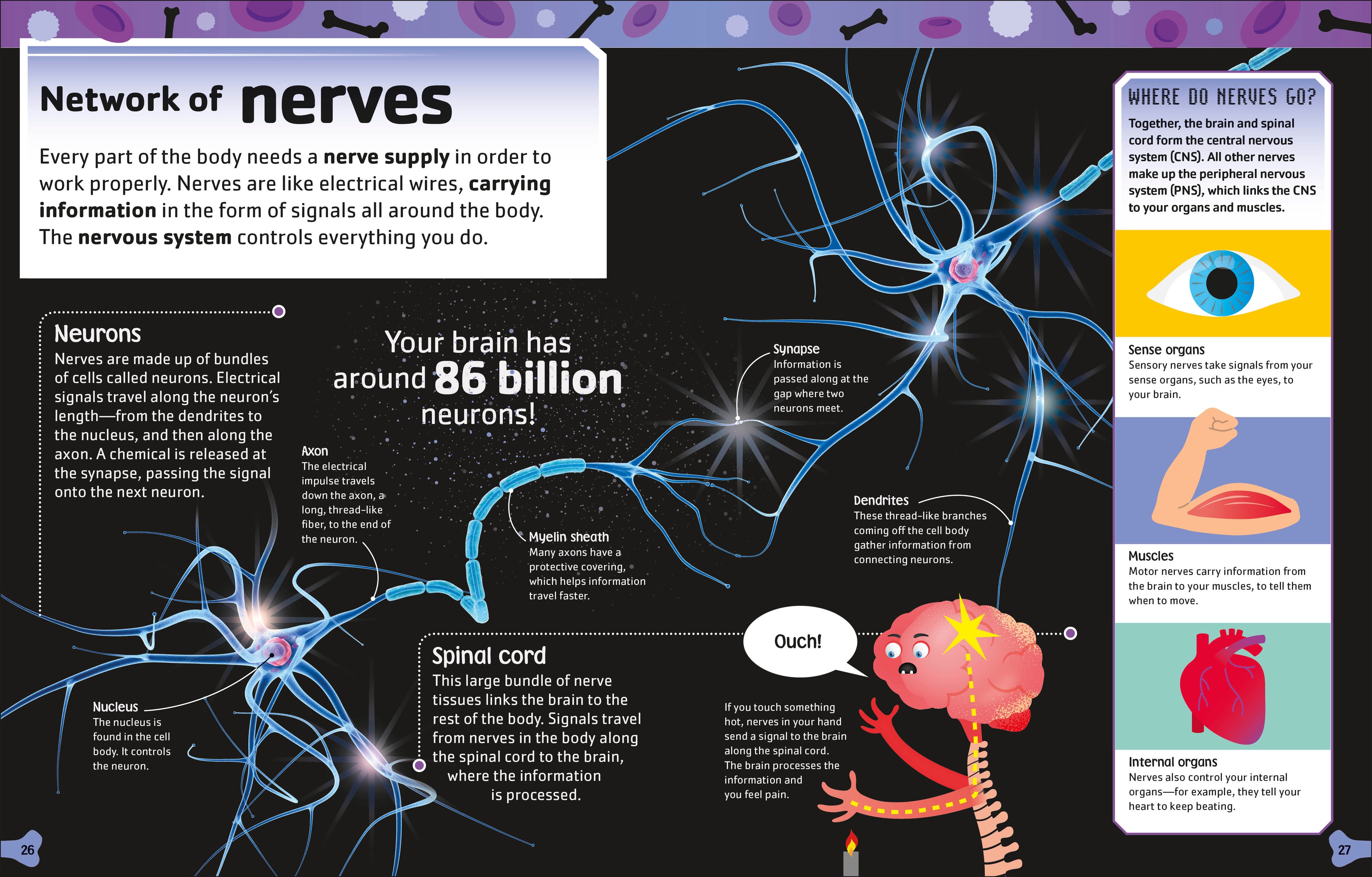 The Body Book-Spread, Image, (PRHC, Design, Do, Not, Use)-3