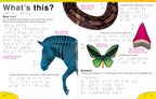 DK Braille: Animals