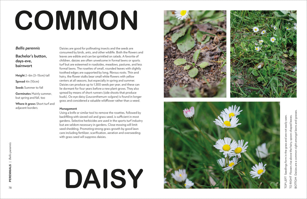 What's That Weed?-Spread, Image, (PRHC, Design, Do, Not, Use)-5