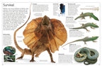 DK Eyewitness Books: Reptile