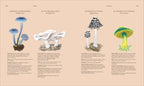 Fungi-Spread, Image, (PRHC, Design, Do, Not, Use)-5
