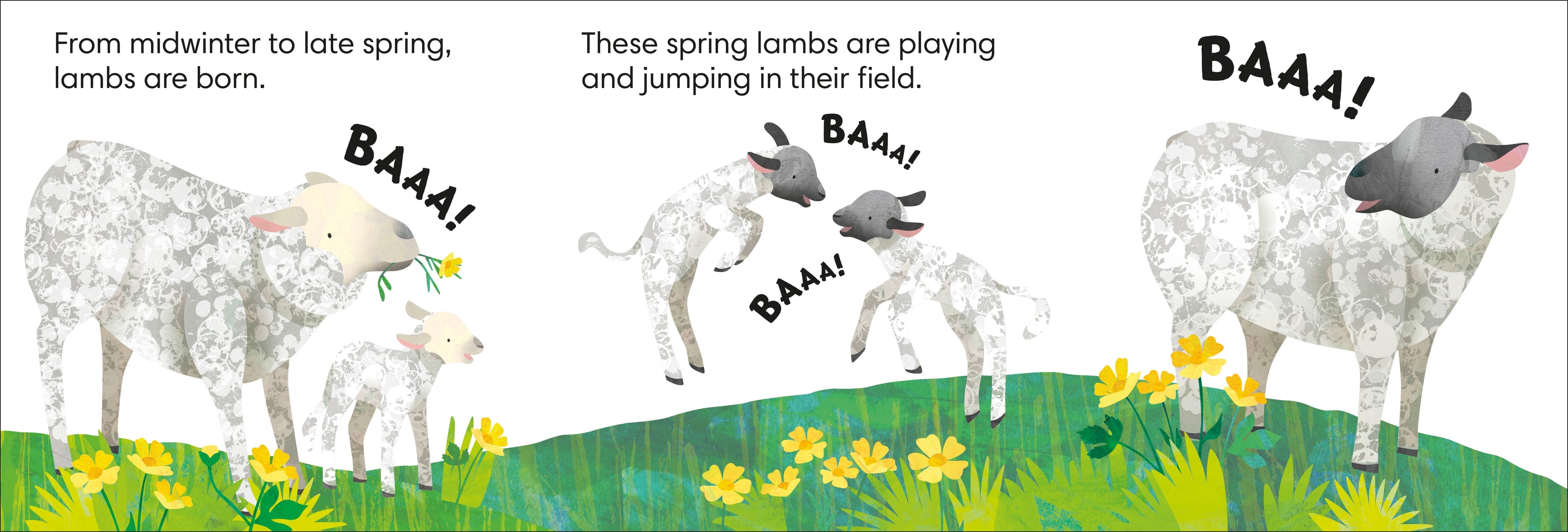 Jonny Lambert's Farm