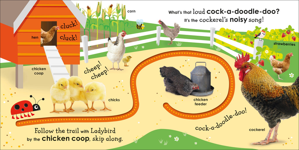 On the Farm with a Ladybird