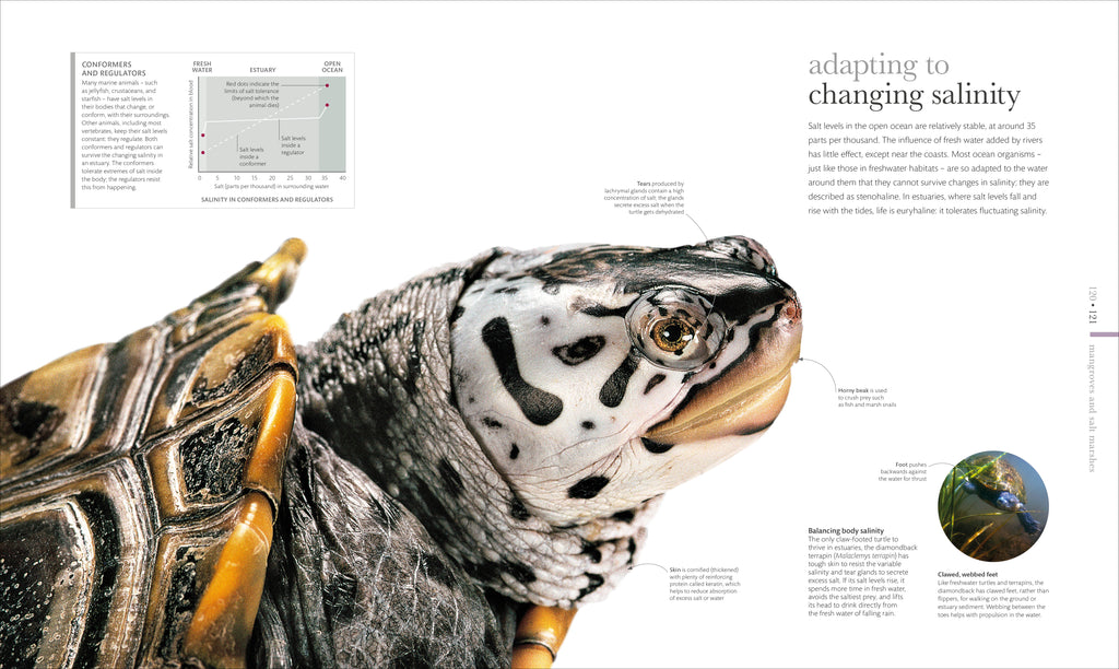 The Science of the Ocean