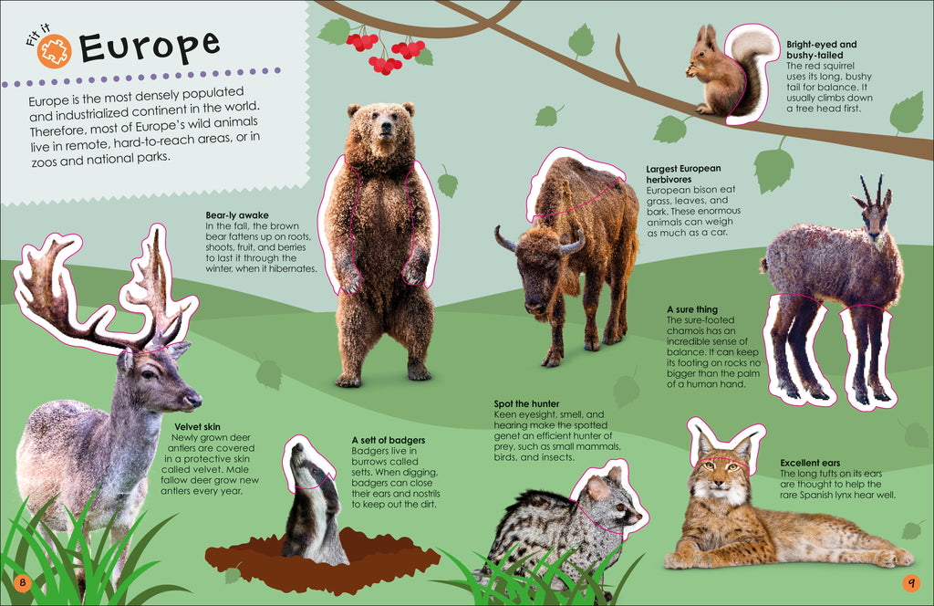 Ultimate Sticker Book Animals