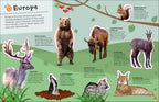Ultimate Sticker Book Animals