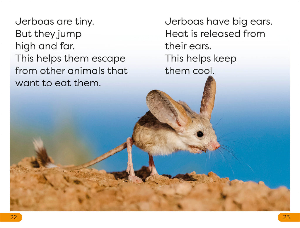 DK Super Readers Level 1 Desert Plants and Animals