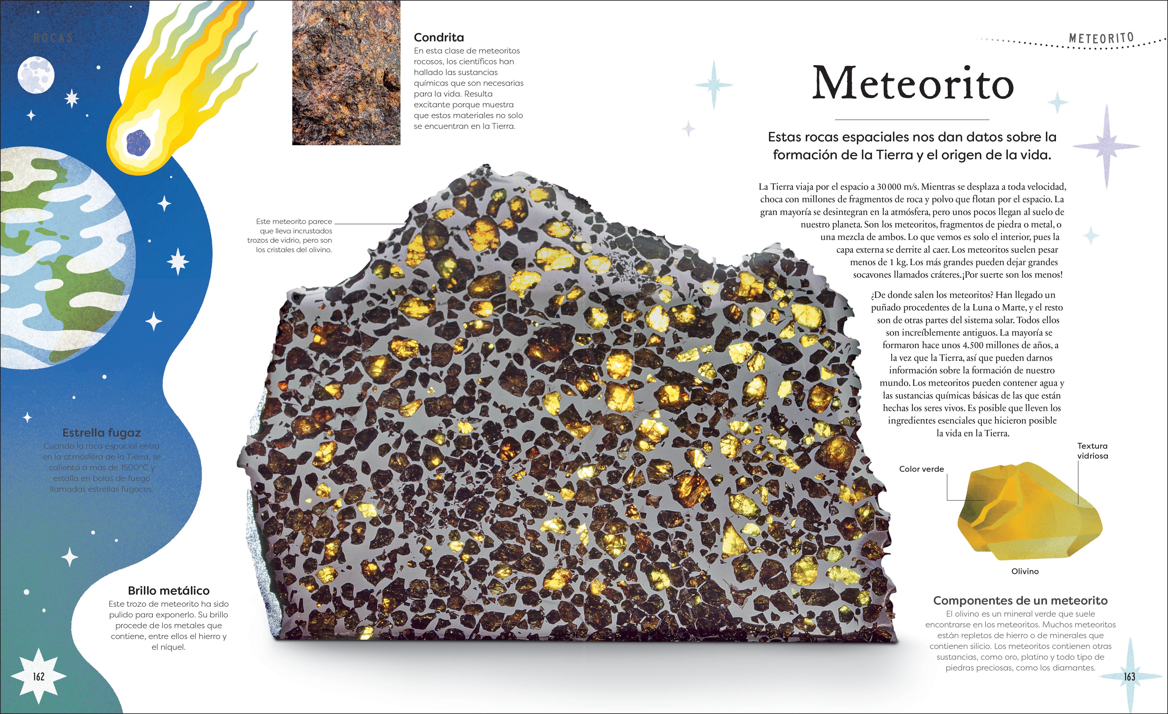 Tesoros de la naturaleza (Nature's Treasures)-Spread, Image, (PRHC, Design, Do, Not, Use)-6