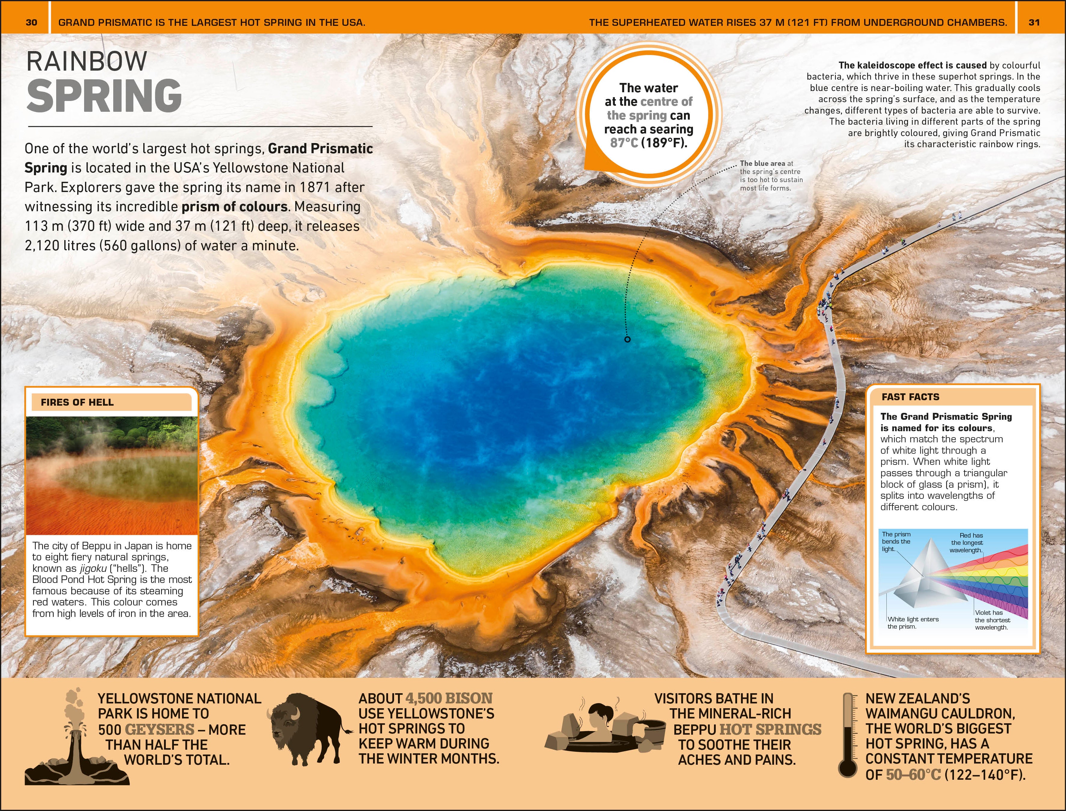 1,000 Amazing Weird Facts