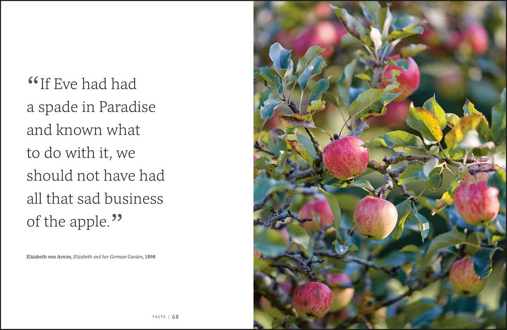 Garden for the Senses-Spread, Image, (PRHC, Design, Do, Not, Use)-3