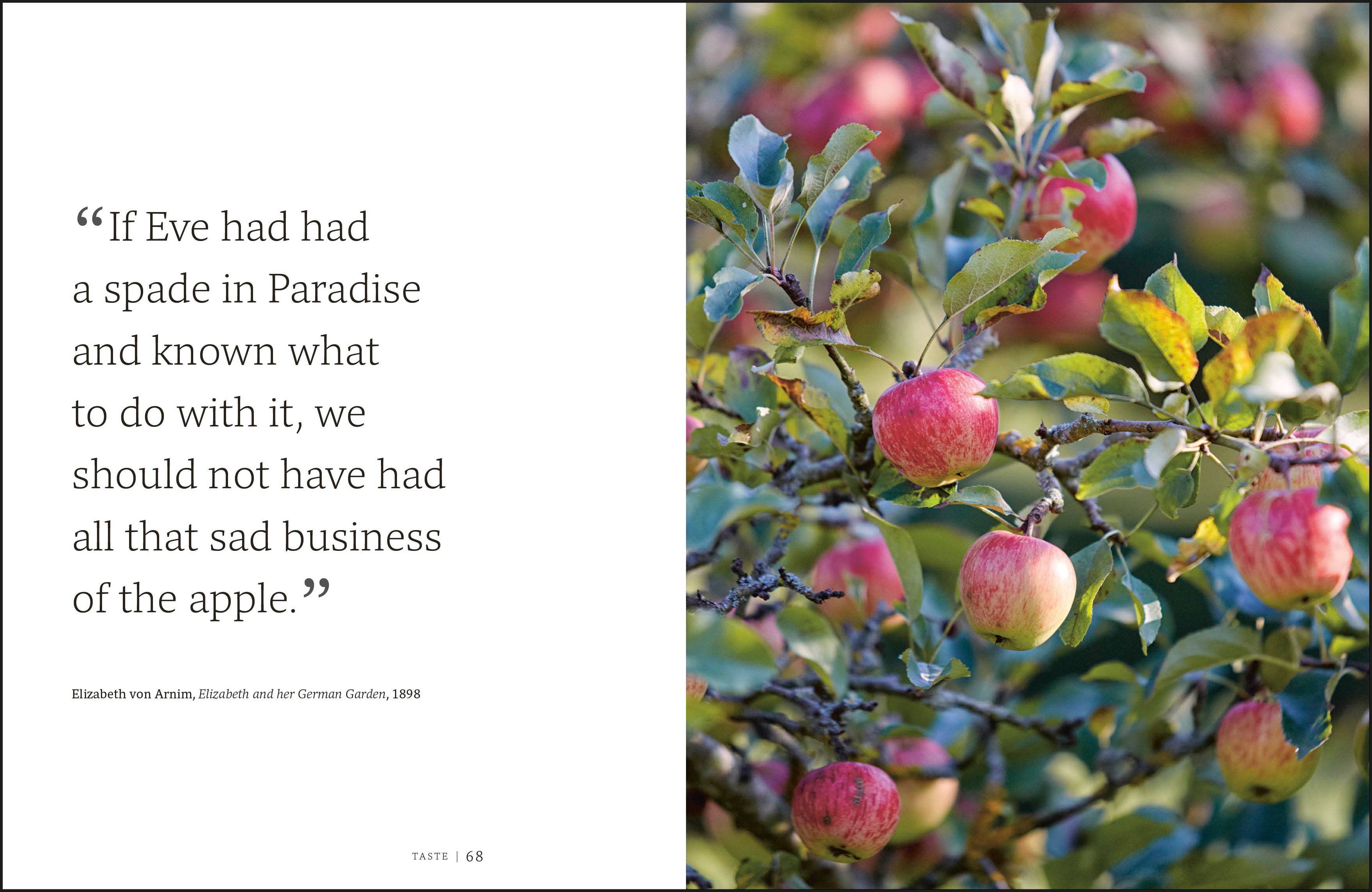 Garden for the Senses-Spread, Image, (PRHC, Design, Do, Not, Use)-3