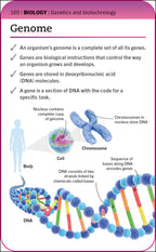 Super Simple Biology Revision Cards Key Stages 3 and 4-spread image