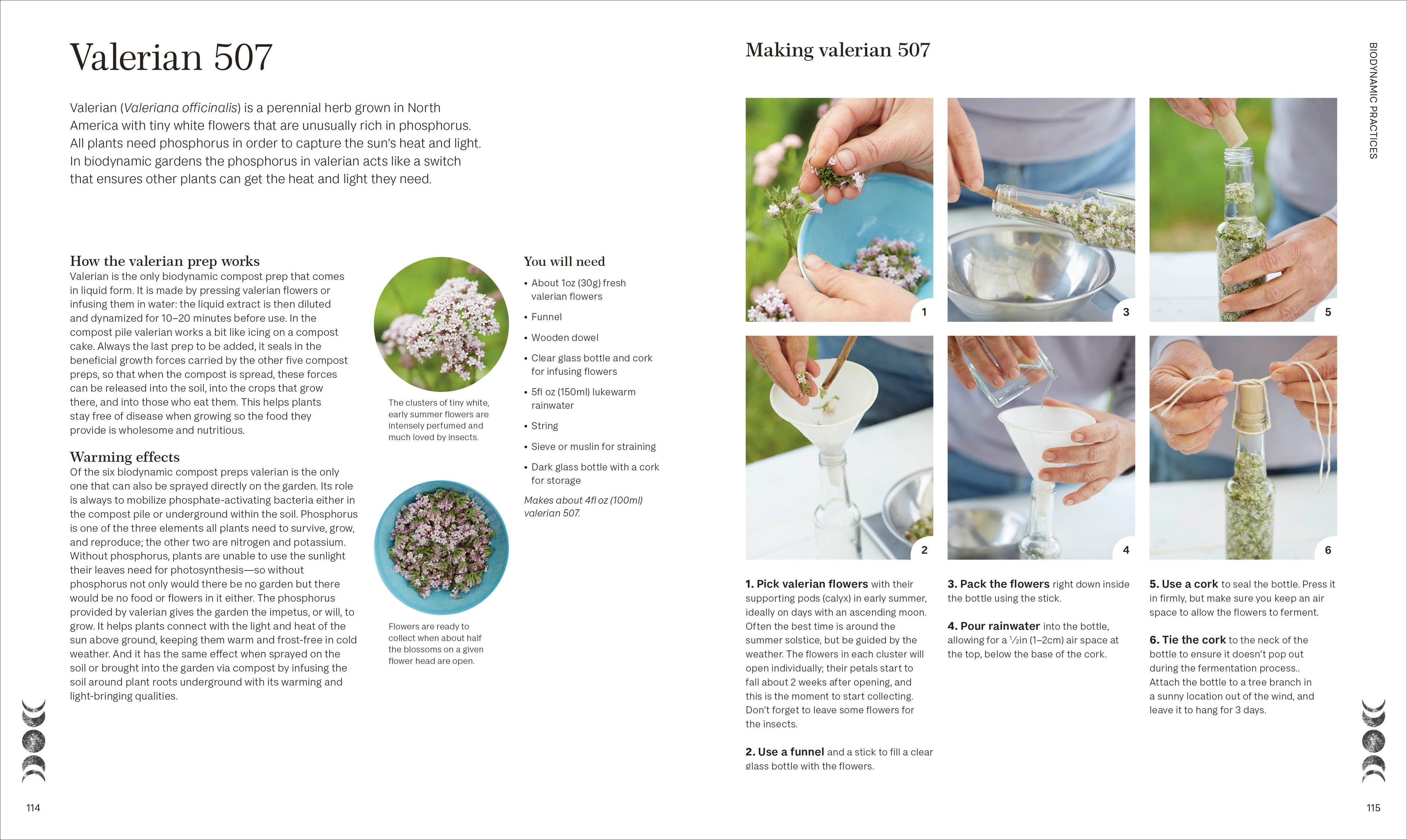 Biodynamic Gardening-Spread, Image, (PRHC, Design, Do, Not, Use)-5