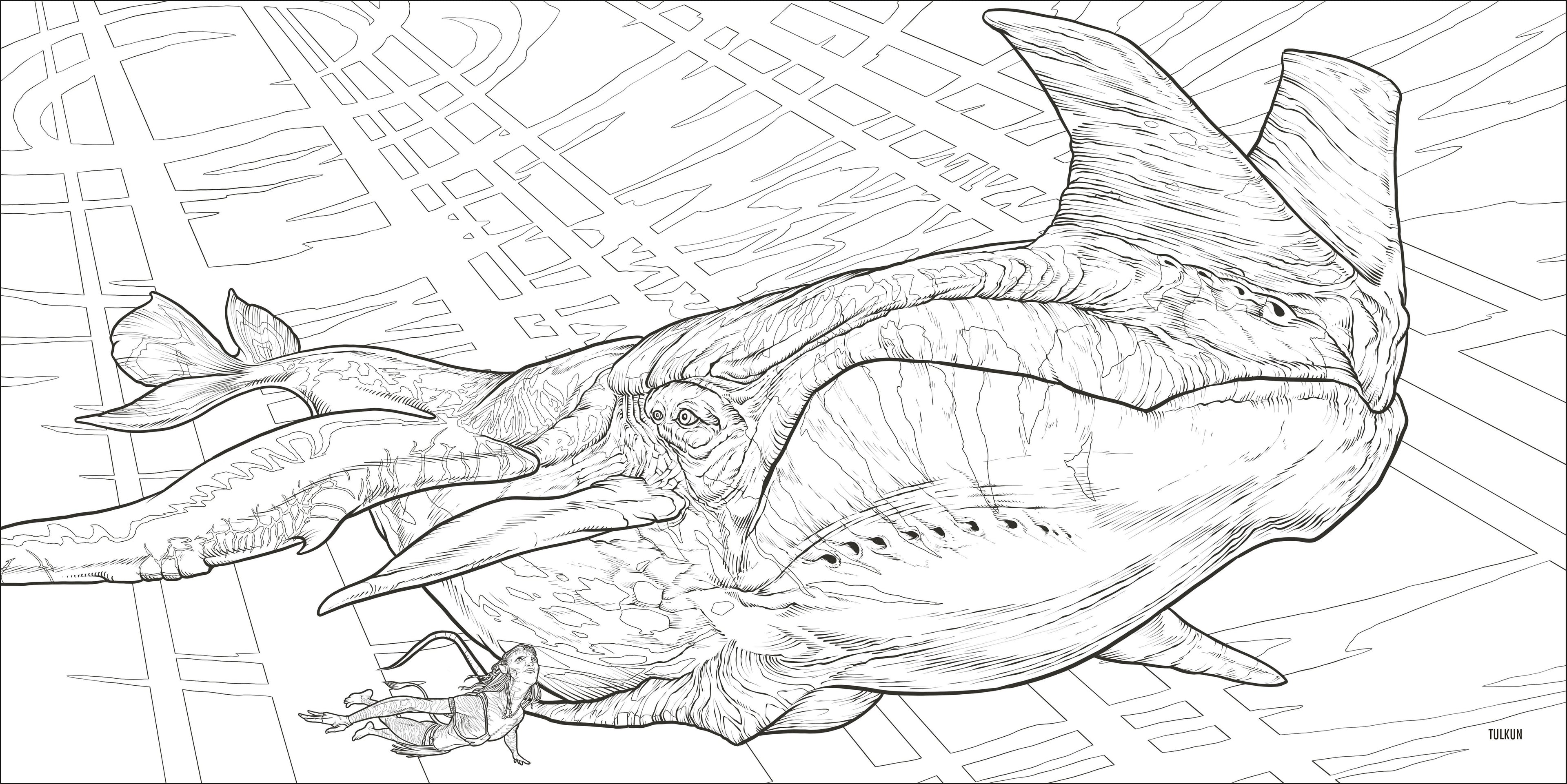 Avatar Colouring Book