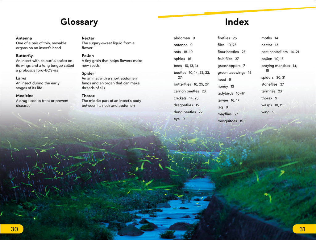 DK Super Readers Level 2 Bugs and Us