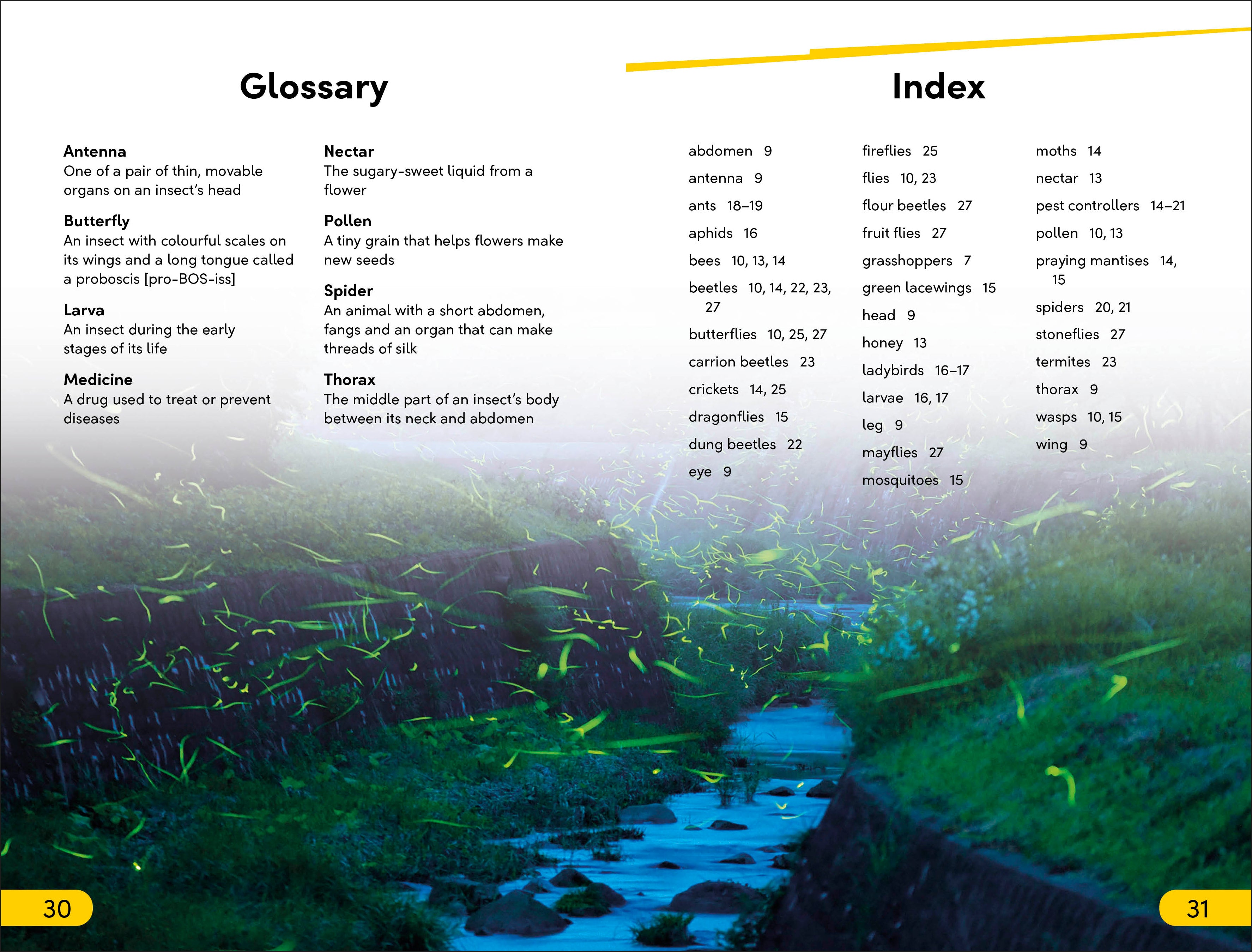 DK Super Readers Level 2 Bugs and Us